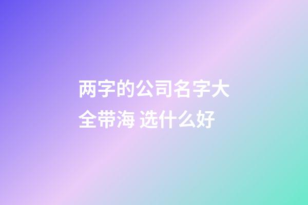 两字的公司名字大全带海 选什么好-第1张-公司起名-玄机派